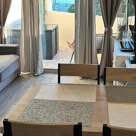 Joli 2 Pieces Aux Pieds Des Plages Appartement Cannes